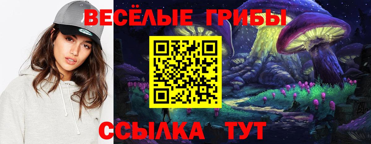 Псилоцибиновые грибы Magic Shrooms Павлово
